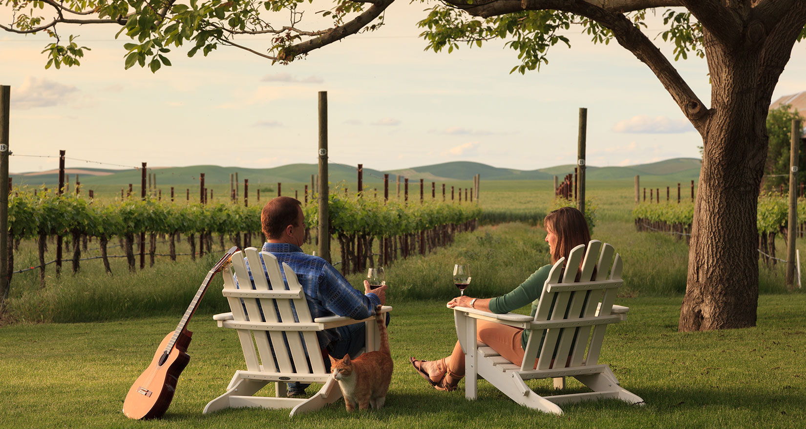 People sitting beside a vineyard